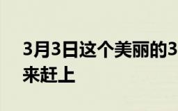 3月3日这个美丽的360度相机需要它的软件来赶上