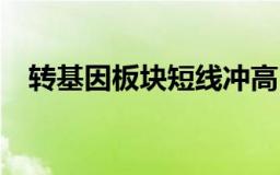 转基因板块短线冲高，秋乐种业涨超10%