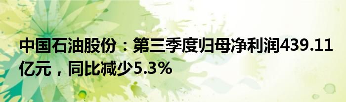 中国石油股份：第三季度归母净利润439.11亿元，同比减少5.3%