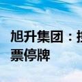 旭升集团：控股股东筹划控制权变更，公司股票停牌