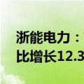 浙能电力：前三季度归母净利润67亿元，同比增长12.37%