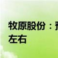 牧原股份：预计公司全年资本开支在120亿元左右