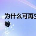 为什么可再生能源企业必须致力于公司性别平等