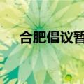 合肥倡议暂停城市灯光秀 这是为什么呢