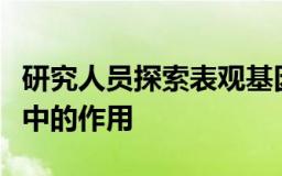 研究人员探索表观基因组在非遗传性疾病遗传中的作用