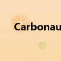 Carbonaut迅速扩大低碳水化合物领域