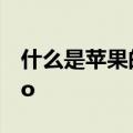 什么是苹果的动作模式它如何取代你的GoPro