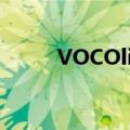 VOCOlincVS1接触式传感器评测